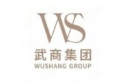 武商集团（000501）深度研究：武汉国资商业龙头、梦时代与购物中心运营修复-A股档案
